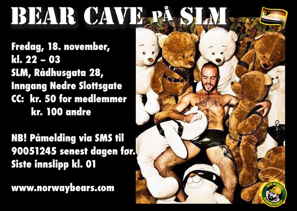 bearcave-nov2016-banner02-1448x1028