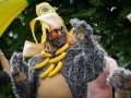 2012-06-Skeive-Dager-Paraden-072